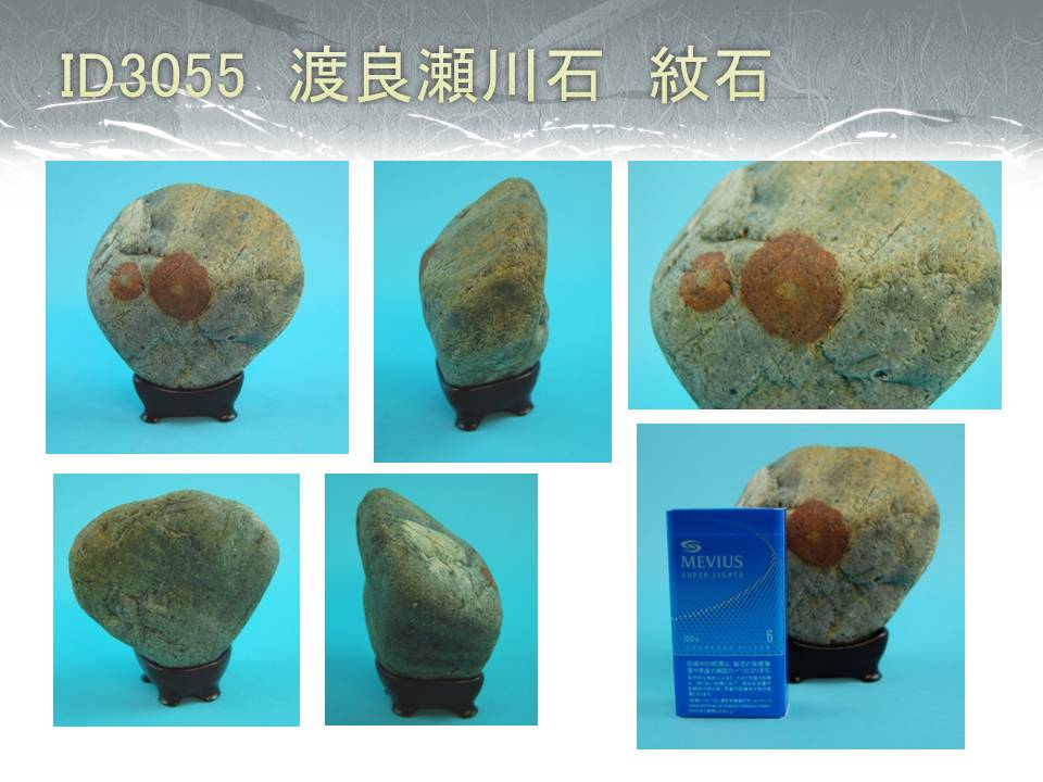 豊富な人気SALE水石・ 観賞石・自然石　渡良瀬川石　　ID3055 その他